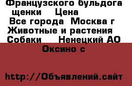 Французского бульдога щенки  › Цена ­ 35 000 - Все города, Москва г. Животные и растения » Собаки   . Ненецкий АО,Оксино с.